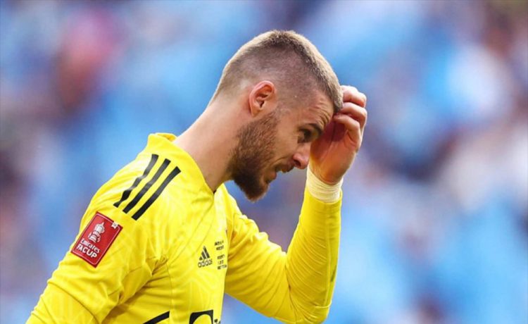 روزهای درخشان ستاره سابق منچستریونایتد در سری آ ایتالیا