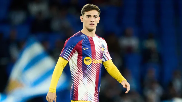 گاوی مال کدام کشور است گاوی مال کدام کشور است