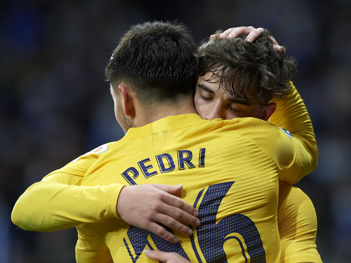 والپیپر گاوی برای کامپیوتر والپیپر گاوی برای کامپیوتر