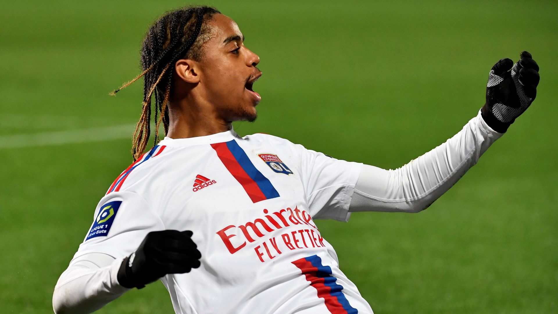 والپیپر بارکولا والپیپر بارکولا