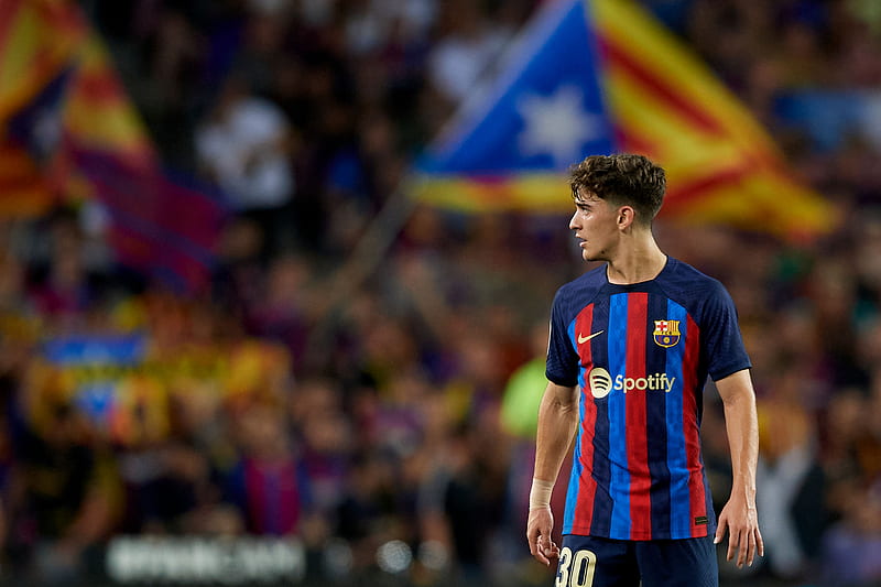 عکس گاوی عکس گاوی