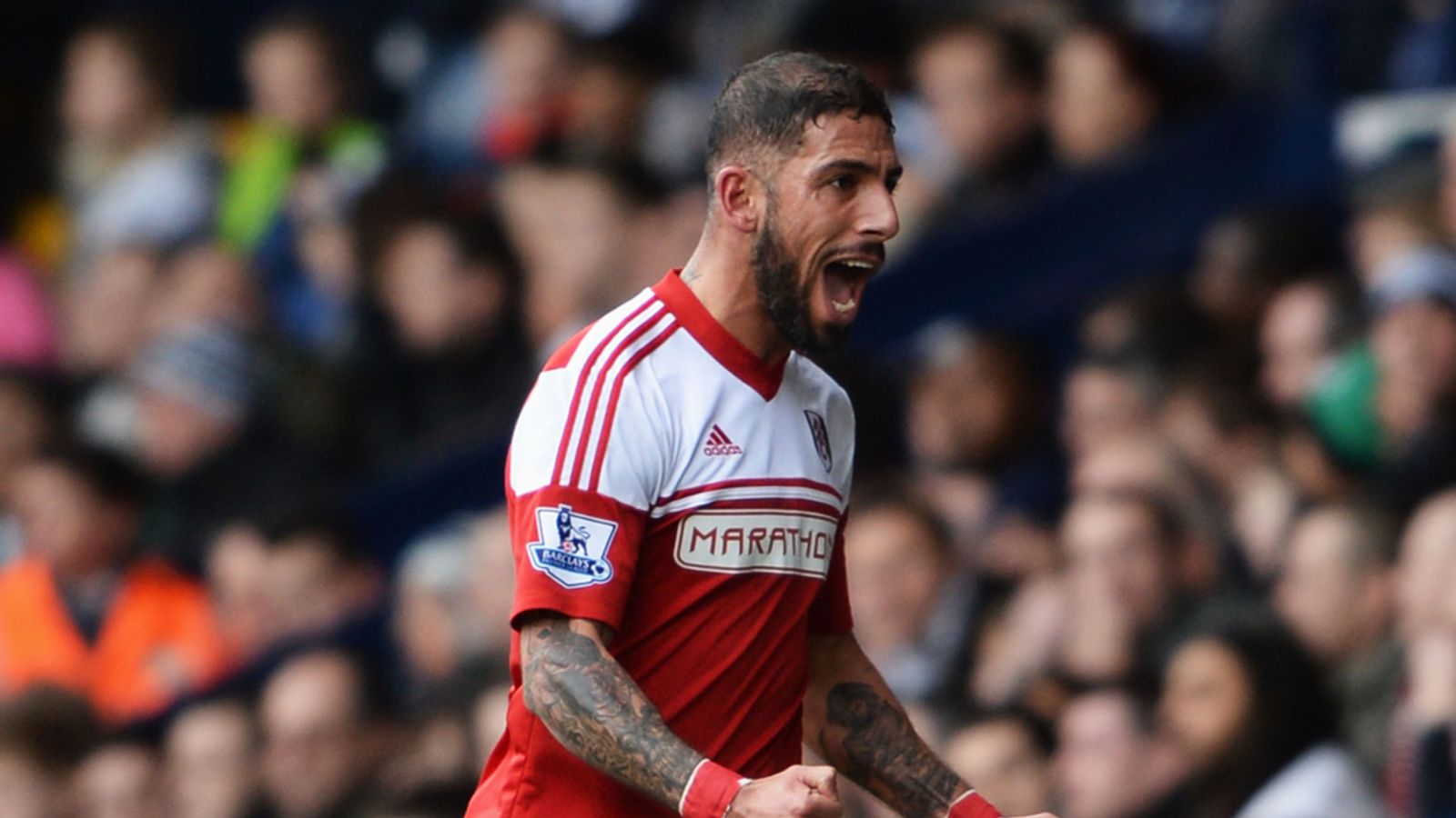 والپیپر اشکان دژاگه