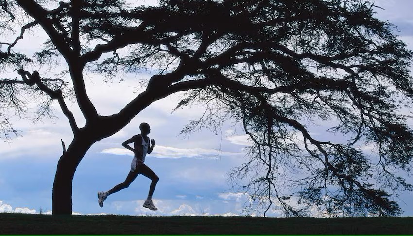 یوسین بلوت بیماری یوسین بلوت بیماری