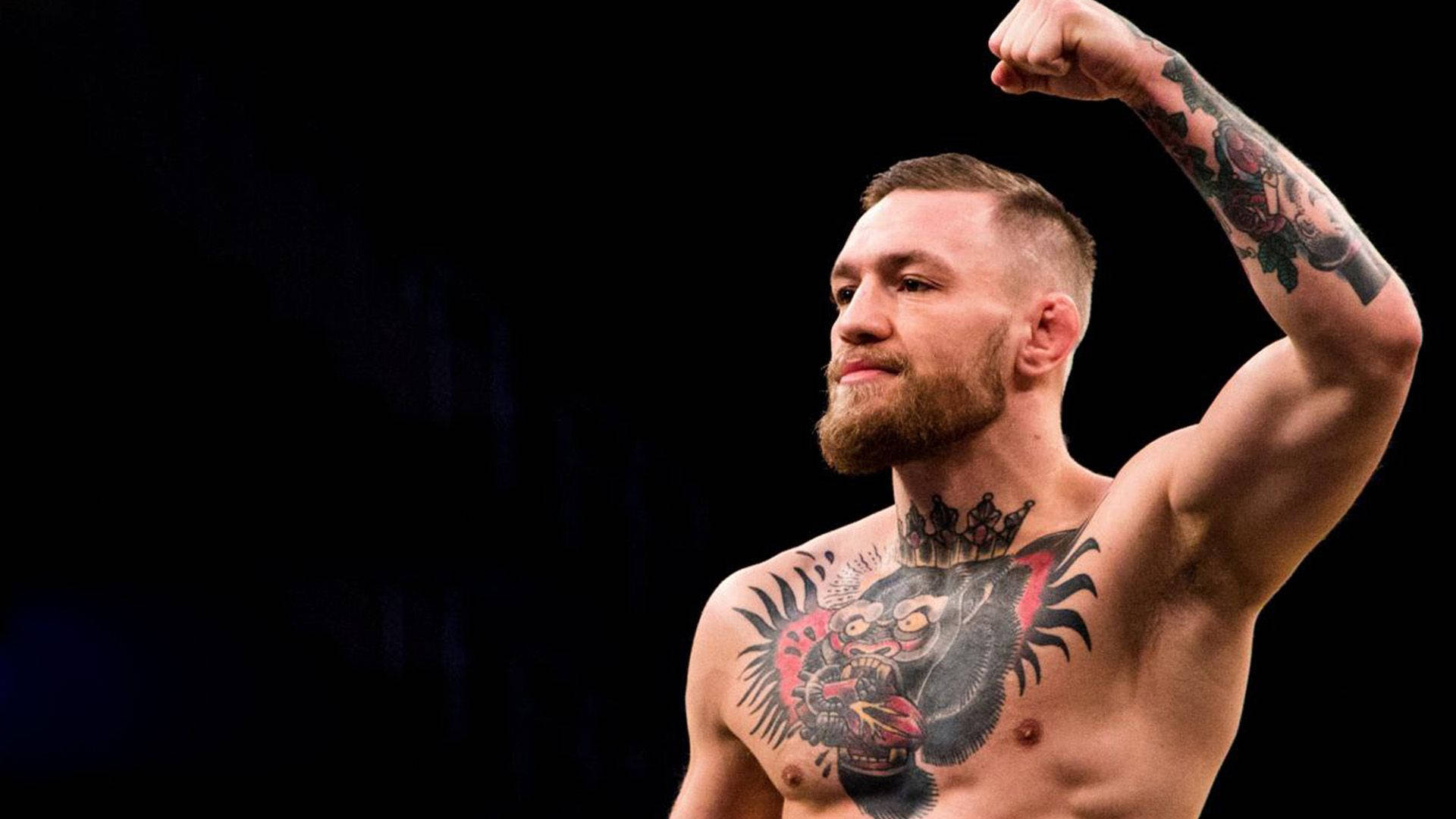 wallpaper Conor McGregor wallpaper Conor McGregor