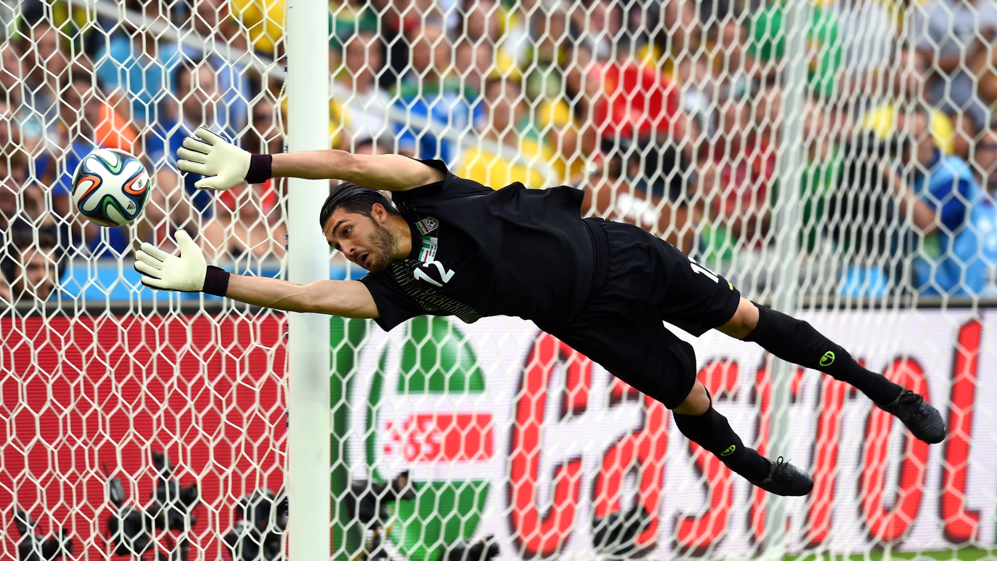 wallpaper Alireza Haghighi wallpaper Alireza Haghighi