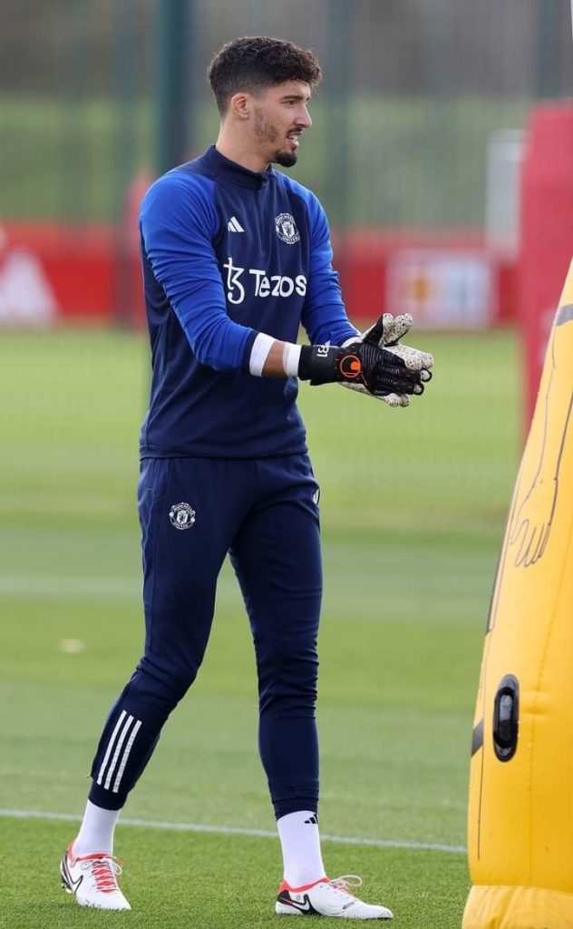 والپیپر آلتای بایندیر