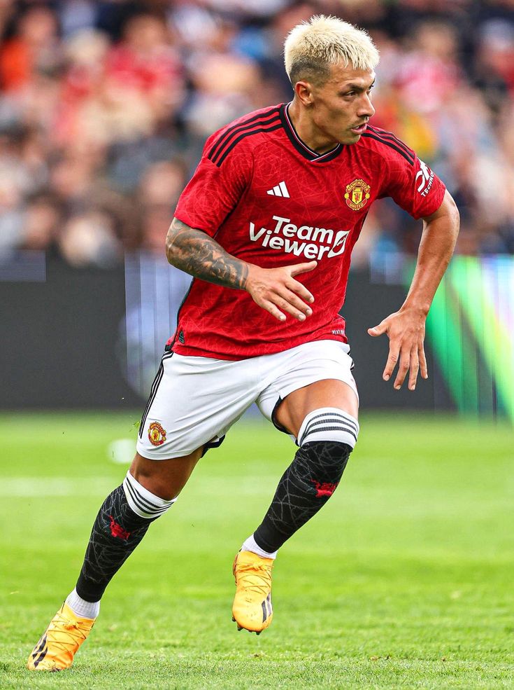 والپیپر لیساندرو مارتینز