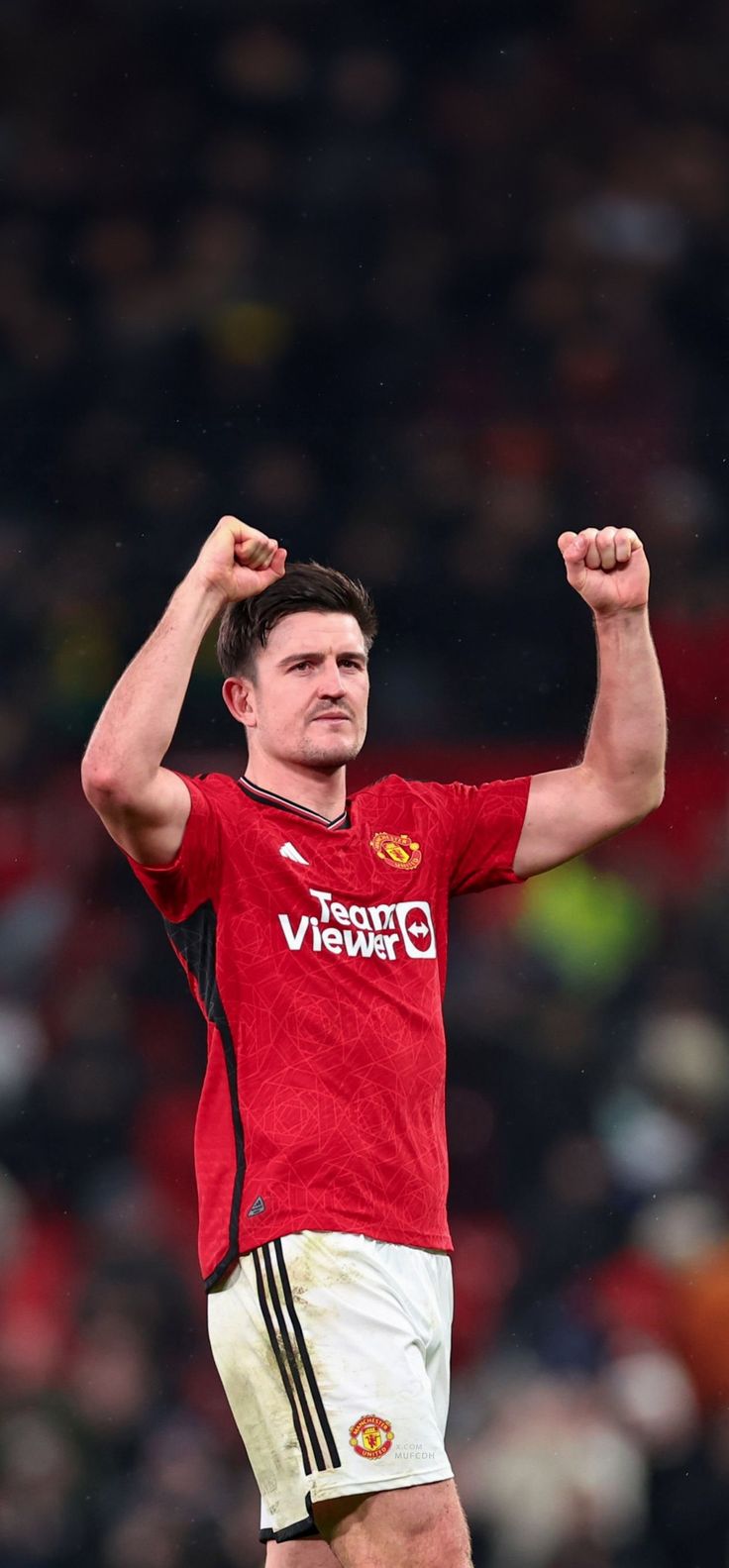 والپیپر هری مگوایر برای کامپیوتر