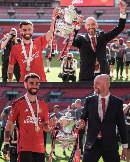 افتخارات و جام های برونو فرناندز