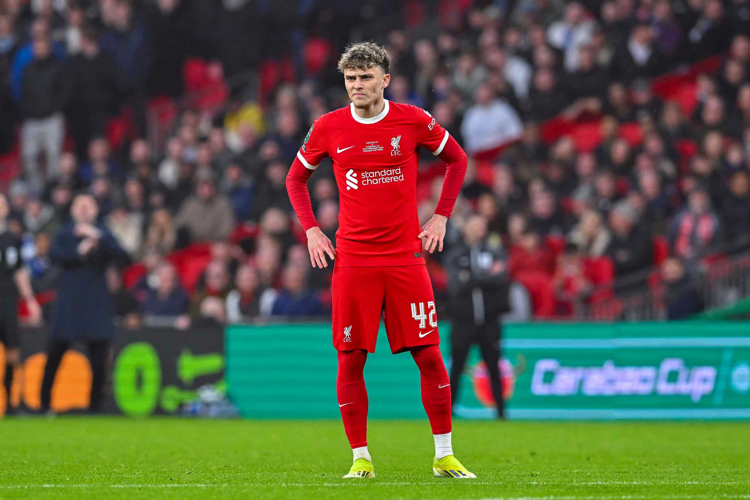 والپیپر بابی کلارک برای کامپیوتر